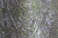 Broxburn fibreglass roof work